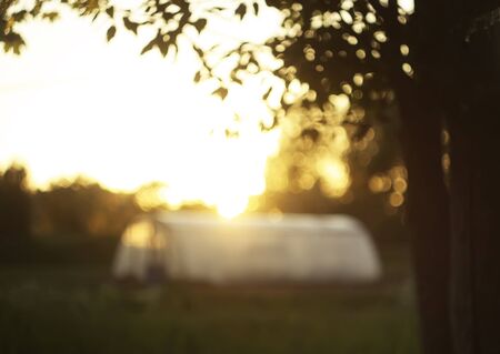 Summer landscape in countryside with greenhouse on the field and tree in sunlightの写真素材