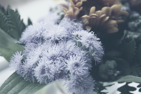 Bright floral bouquet close upの写真素材