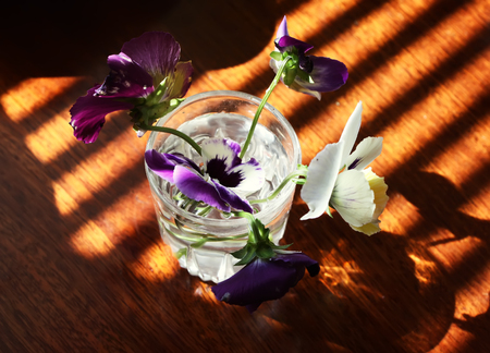 A small bouquet of pancy flowers in sunlightの写真素材