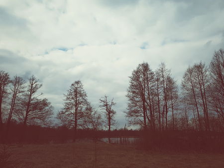 Spring landscape at eveningの写真素材