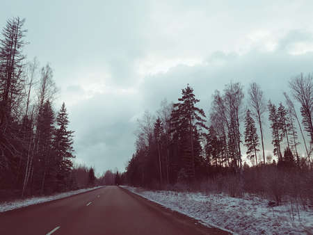 Landscape with asphalt road and forest at winter.の写真素材