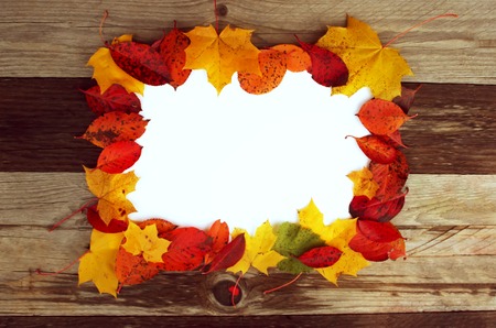 Colorful frame of fallen bright autumn leaves with white sheet of paper on wooden background.