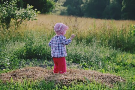 Adorable little girl in a panama cap walking in the summer field in the countryside.の写真素材