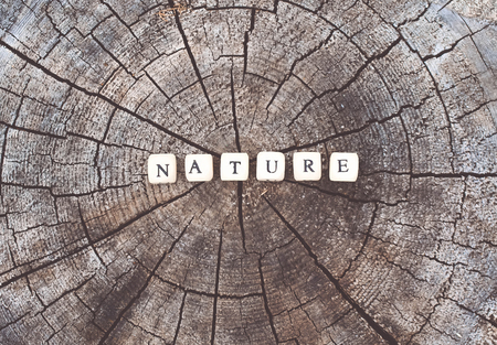 Word nature of wooden alphabet beads on a tree stump surface in the forest.の写真素材