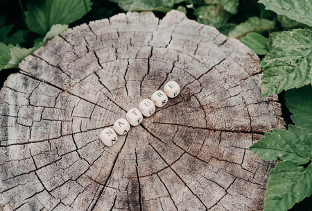 Word nature of wooden alphabet beads on a tree stump surface in the forest.の写真素材