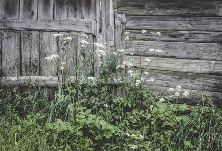 Wooden wall of old barn in the countryside.の写真素材