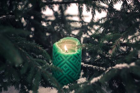 Green candles and fir tree branchesの写真素材