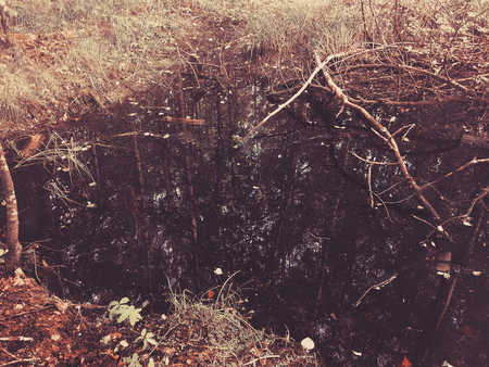 Reflections on the dark water of small pond in the forest.の写真素材