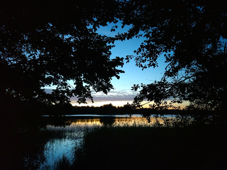 Calm lake surface at evening in Latvia, East Europe. summer sunset landscape with water and forest.の写真素材
