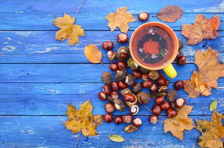 Yellow ceramic cup of herbal tea on aged wooden background with fall autumn leaves and chestnuts.の写真素材