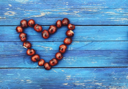 Horse-chestnuts in heart shape on blue aged wooden boards background. Aesculus hippocastanum.の写真素材