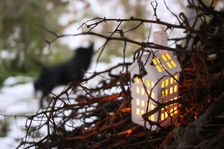 Decorative house lantern with burning candle in autumn park at evening.の写真素材