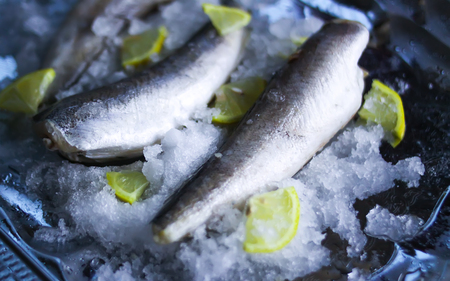 Fresh raw sea fish and lemon peces on ice surface.の写真素材