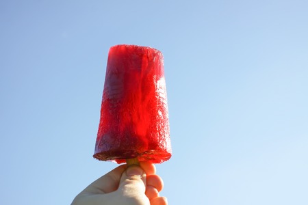 Red fruit sweet popsicle. Ice cream on wooden stick on summer nature background in sunny day.