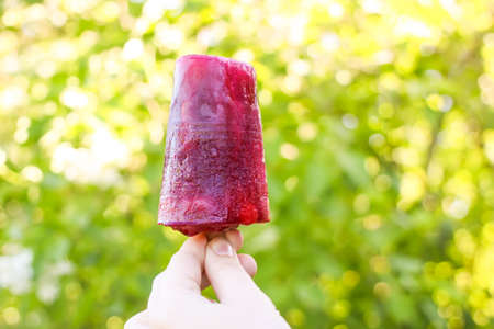 Red fruit sweet popsicle. Ice cream on wooden stick on summer nature background in sunny day.