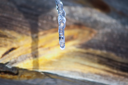 Shiny transparent icicles hanging on a roof close up.の写真素材