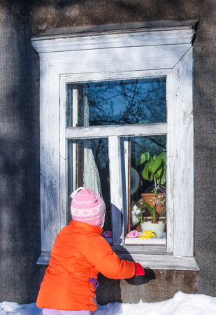Little girl in an orange coat outdoors looking at cat on the window sill of country house in the village.の写真素材