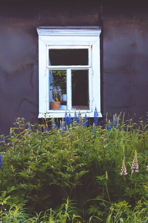 Fragment of old rural house in East Europe. Wooden window and blooming flowers in the garden.の写真素材