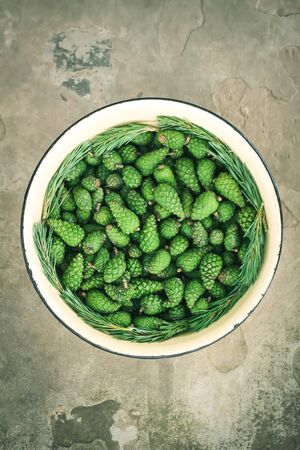 Green young fir tree cones in a large cup prepared for homemade syrup cooking.の写真素材