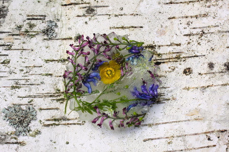 Ice cube with different summer flowers on green grass at summer.の写真素材