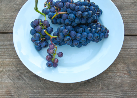 Blue wine grapes in white plate on wooden table outdoors.の写真素材
