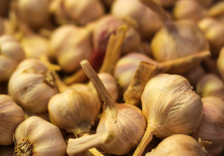 Fresh garlic cloves background.