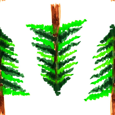 Seamless decorative pattern with herbal motifs. Hand painted watercolor elements. Green spruce trees on white background.の写真素材