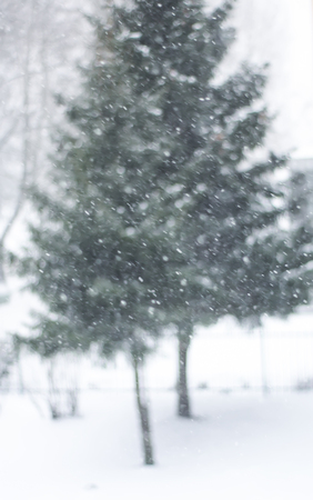 Winter park in snowfallの写真素材