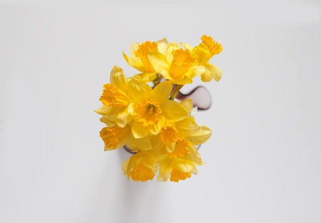 Beautiful bouquet of spring yellow narcisus flowers in a glass vase.の写真素材