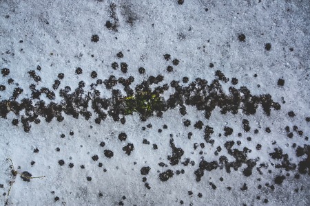 Wood texture closeup photoの写真素材