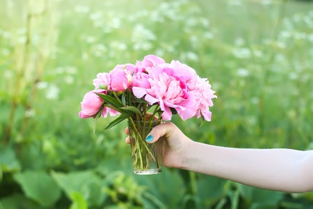 Hand holding a bouquet of pink fresh peony flowers in summer park.の写真素材