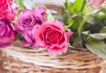 Beautiful bouquet of roses in a wicker basket.の写真素材