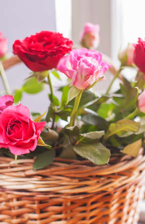Beautiful bouquet of roses in a wicker basket.の写真素材