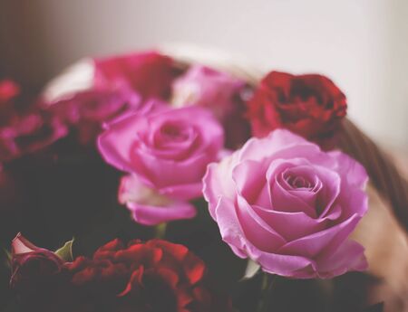 Beautiful pink and red roses in a basket.の写真素材