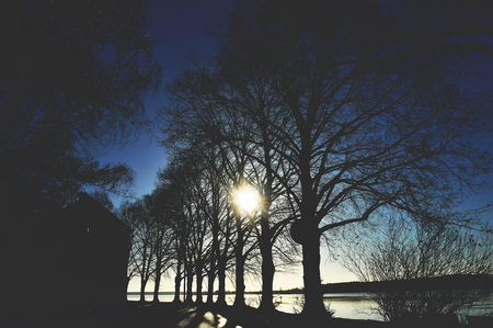 Evening landscape with dark silhouettes of trees and water.の写真素材