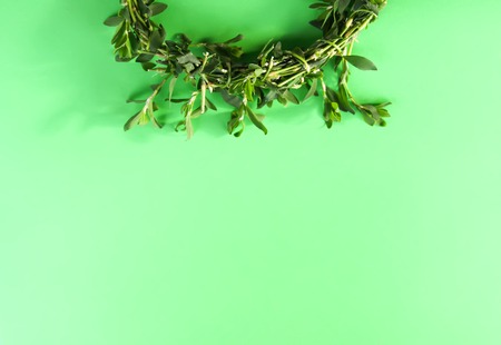 Wreath of wildflowers on soft light colorful background.の写真素材