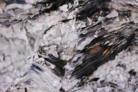 Paper burning on green summer grass outdoors.の写真素材