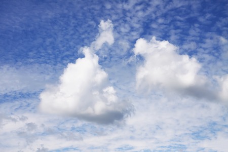 Blue sky  with white fluffy clouds in warm summer day.