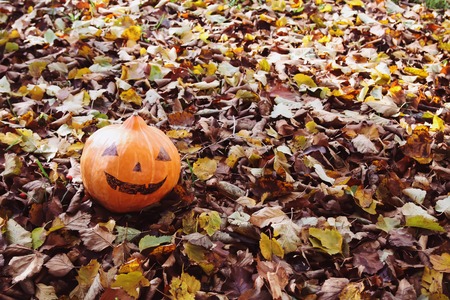 Funny Halloween pumpkin in autumn park with fall leaves.の写真素材