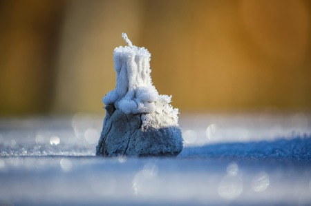 Candle in snow in a winter park on snowfall background. New year festive card, poster, postcard design.の写真素材