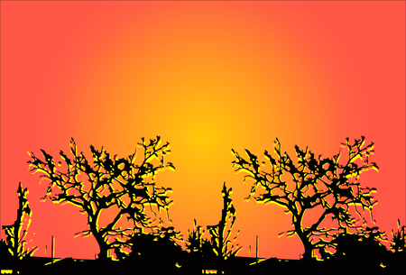 Bare autumn tree black silhouette isolated on whiteのイラスト素材