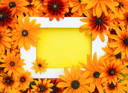Floral composition background. Black-eyed susan or Rudbeckia hirta plant, brown betty, gloriosa...