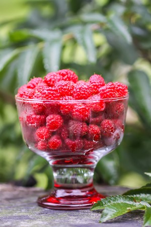 Ripe sweet summer berries. Raspberry in transparent vase on old rough tree stump.