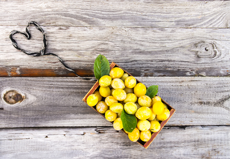 Fresh yellow plums. Ripe fruits in a wooden box on green summer grass in a garden.の写真素材