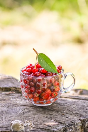 Ripe wet cherries and strawberries in a transparent cup on tree stump. Fresh red fruits in summer garden in the countrysideの写真素材