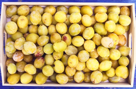 Yellow plums in wooden boxの写真素材