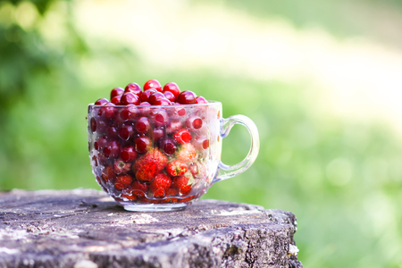 Ripe cherries and strawberries in a transparent cup on tree stump. Fresh red fruits in summer garden in the countryside.の写真素材