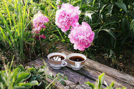 Tea in country style in summer garden in the village.の写真素材