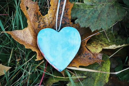 Wooden heart decoration in the garden on autumn nature background