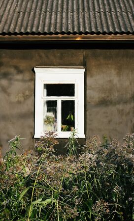Wooden window of the old village house behind the dry plants
